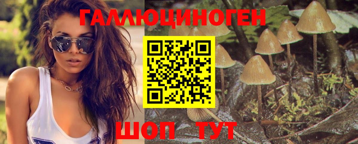 Канабис Заинск